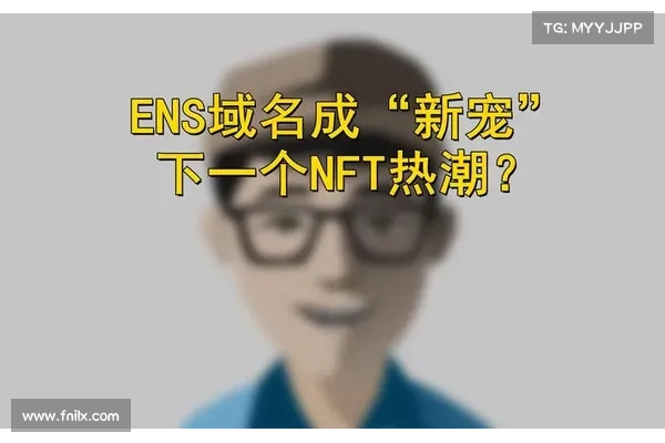 ENS域名成“新宠”,下一个NFT热潮? ENS域名成“新宠”,下一个NFT热潮?