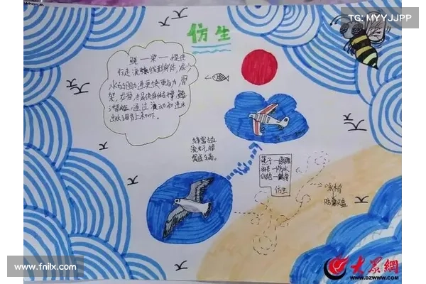 科普 科普